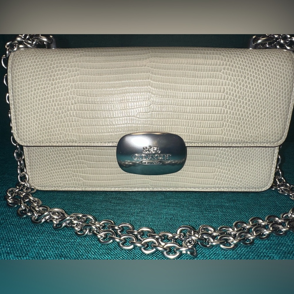 Coach Eliza Pale Green Lizard Embossed Shoulder and Crossbody CR106 SV/AG MINT! - Picture 6 of 15
